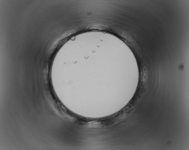 X0000115740591200912241649