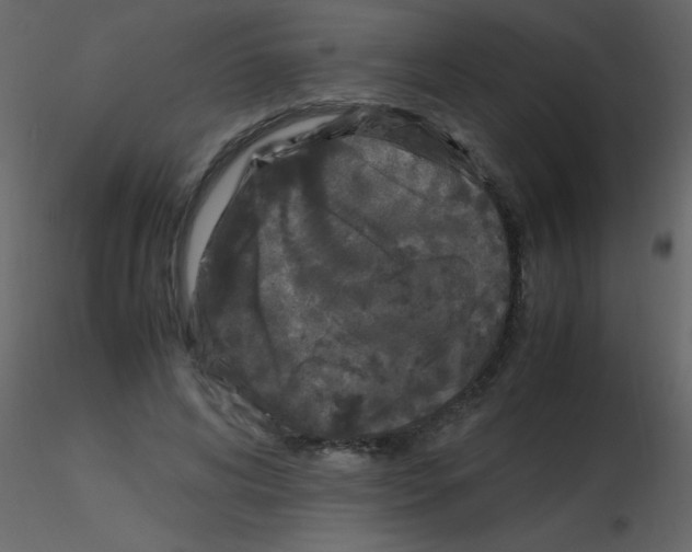 X0000115740592200912241649