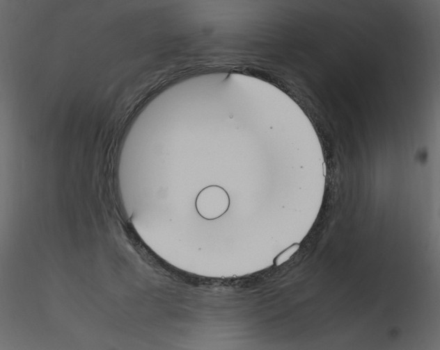 X0000115740593200912241649