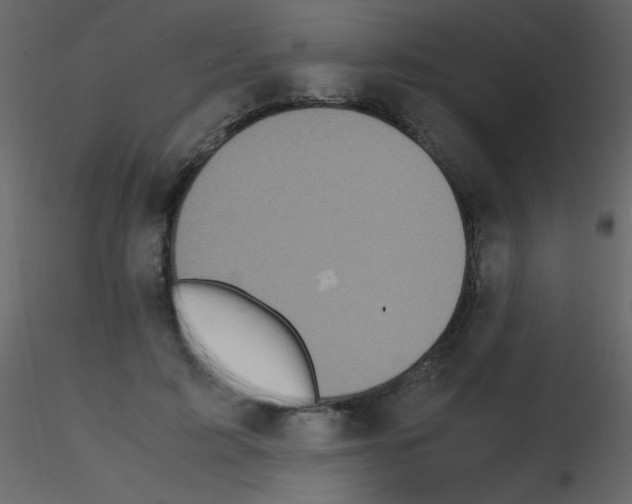 X0000115740595200912241649