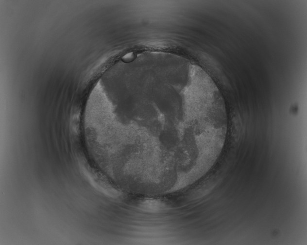 X0000115740596200912241649