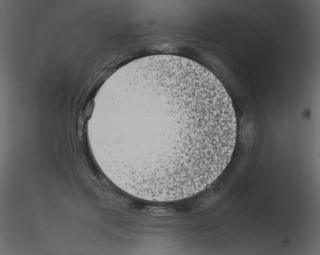 X0000115740597200912241649