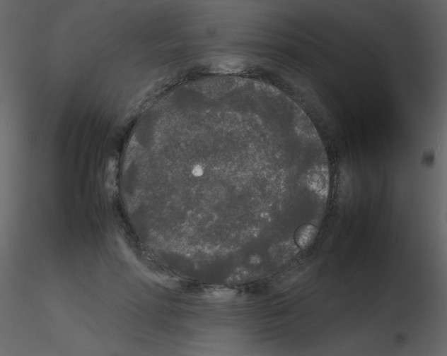 X0000115740598200912241649