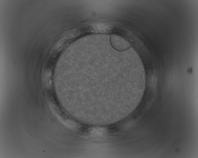 X0000115740599200912241649