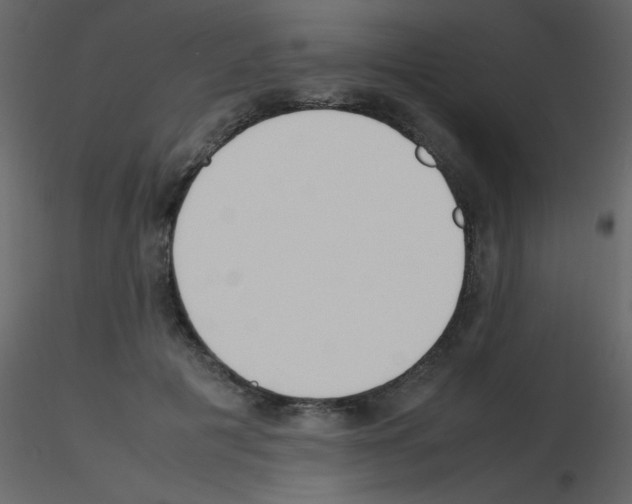 X0000115740601200912241649