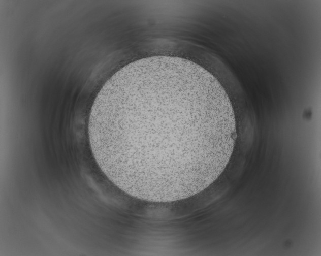 X0000115740602200912241649