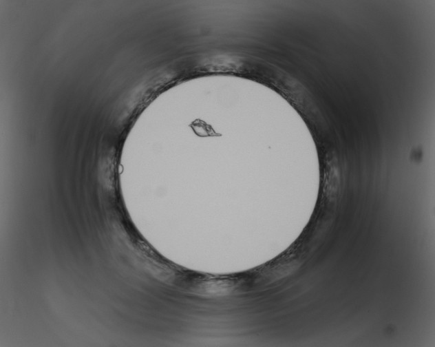 X0000115740604200912241649