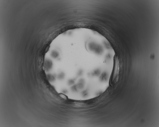 X0000115740605200912241648