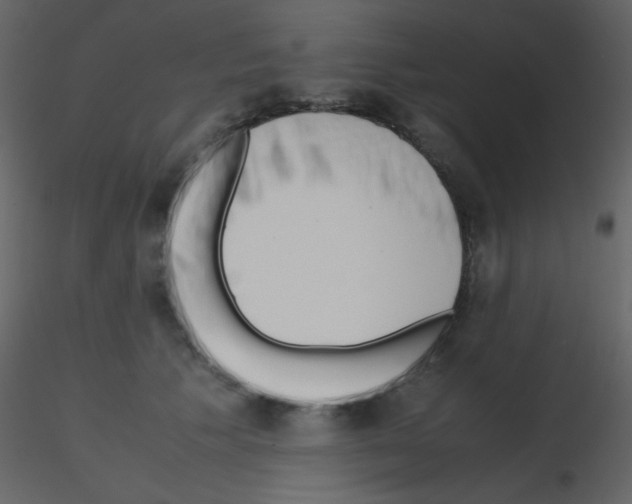 X0000115740609200912241648