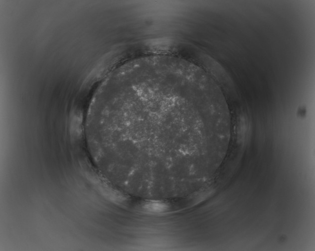 X0000115740610200912241648