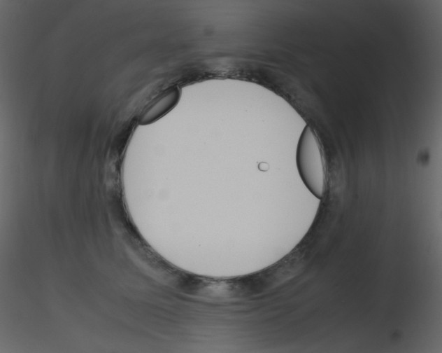 X0000115740611200912241648