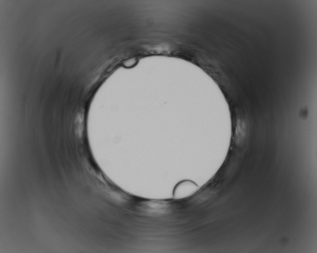 X0000115740612200912241648