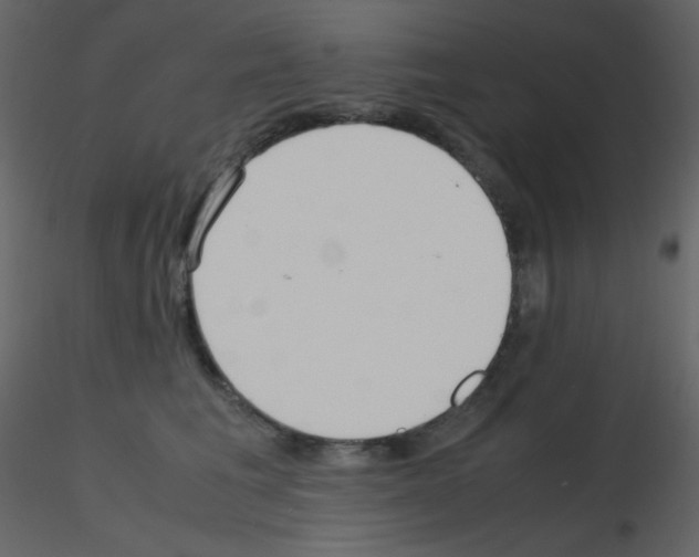 X0000115740613200912241648