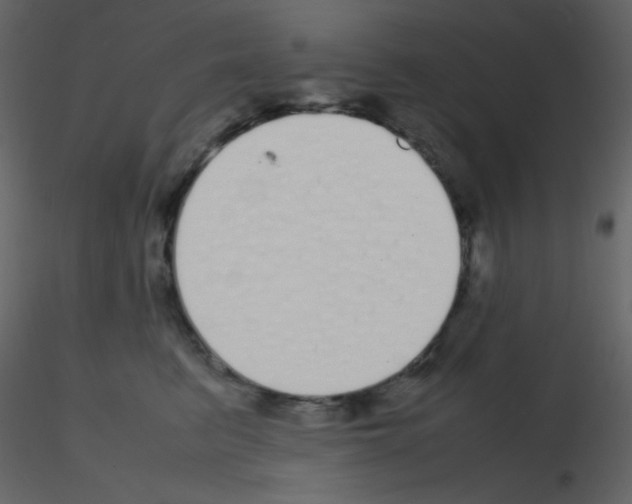 X0000115740615200912241648