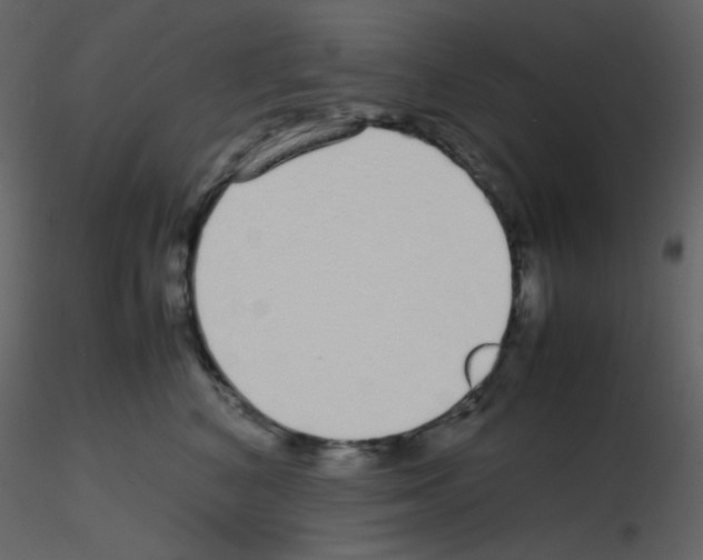 X0000115740616200912241648