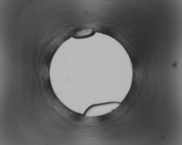 X0000115740617200912241648