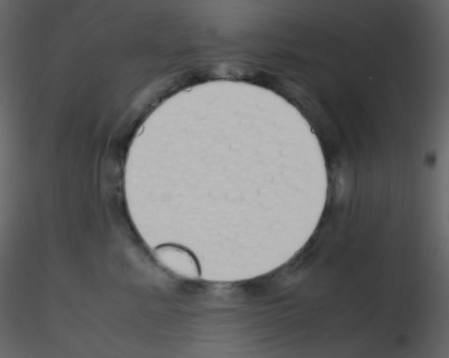 X0000115740619200912241648