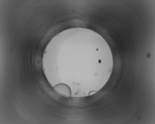 X0000115740622200912241648