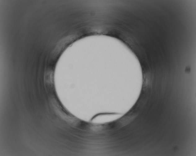 X0000115740623200912241648