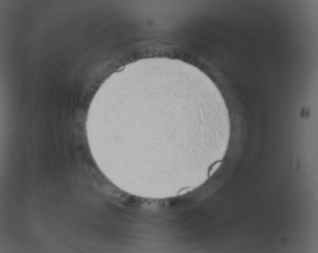 X0000115740624200912241648