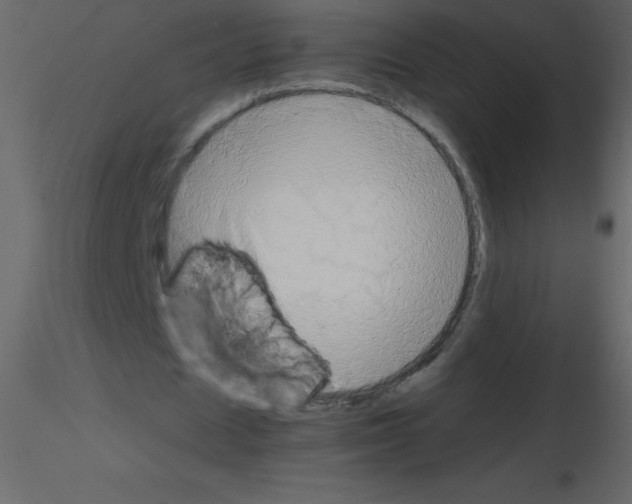 X0000115740625200912241648