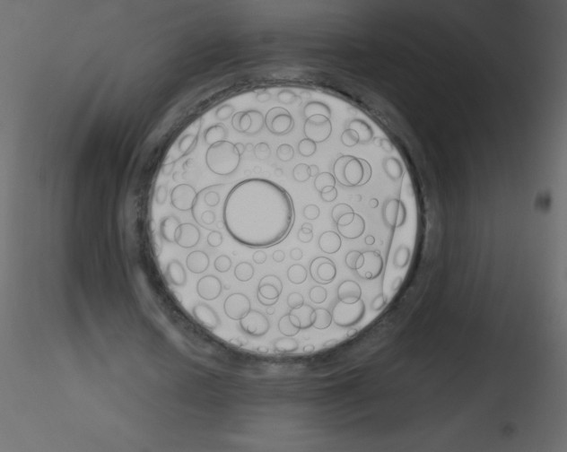 X0000115740626200912241648