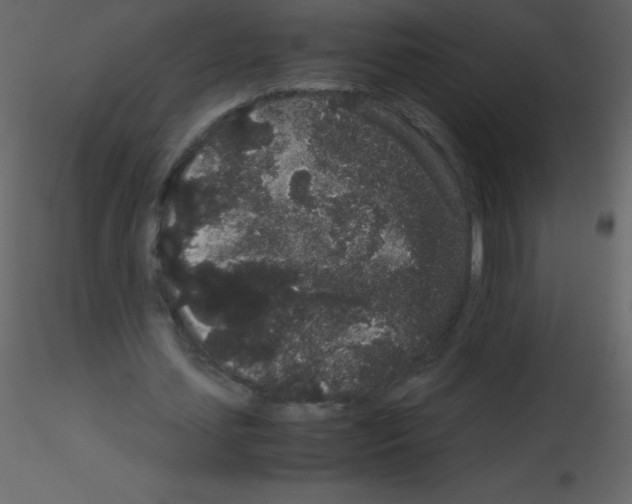 X0000115740627200912241648