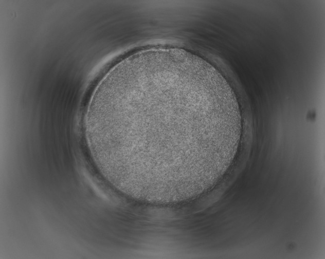 X0000115740628200912241648