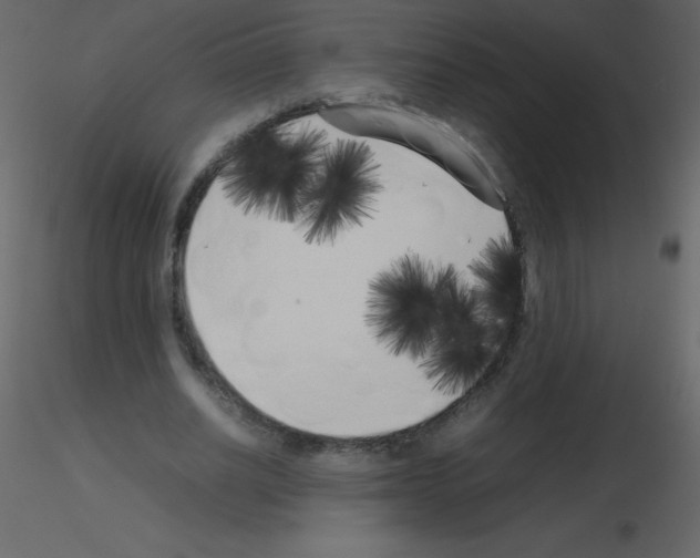 X0000115740630200912241648