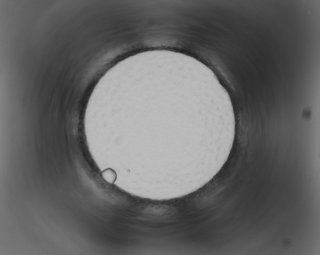 X0000115740631200912241648