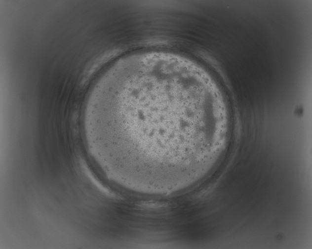 X0000115740633200912241648