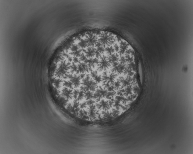 X0000115740634200912241648