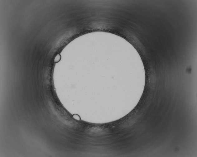 X0000115740635200912241648