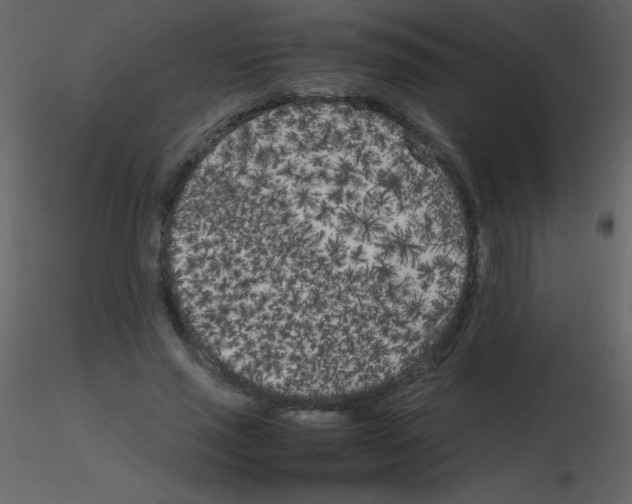 X0000115740637200912241648