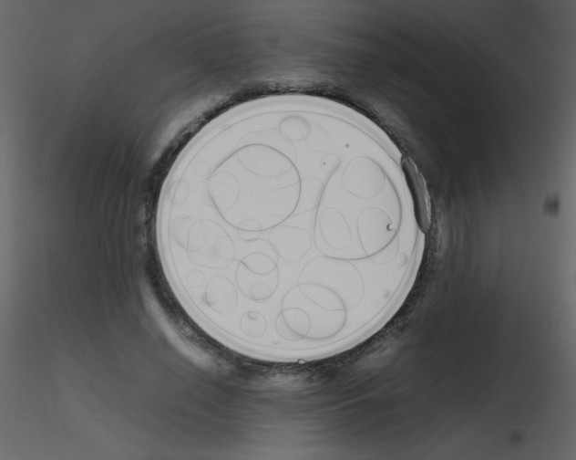 X0000115740638200912241648