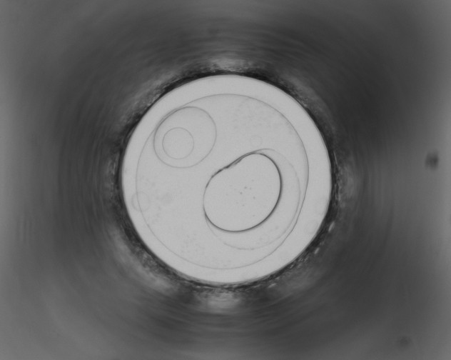 X0000115740639200912241648