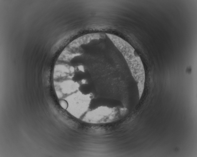 X0000115740640200912241648