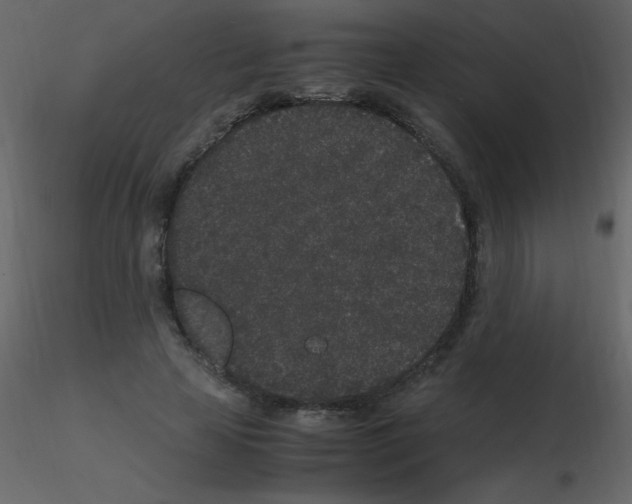 X0000115740641200912241648