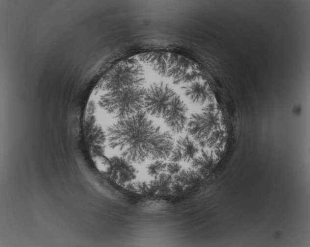 X0000115740642200912241648