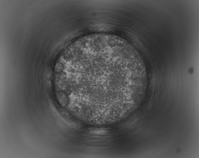 X0000115740643200912241648