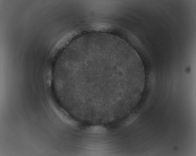 X0000115740644200912241648