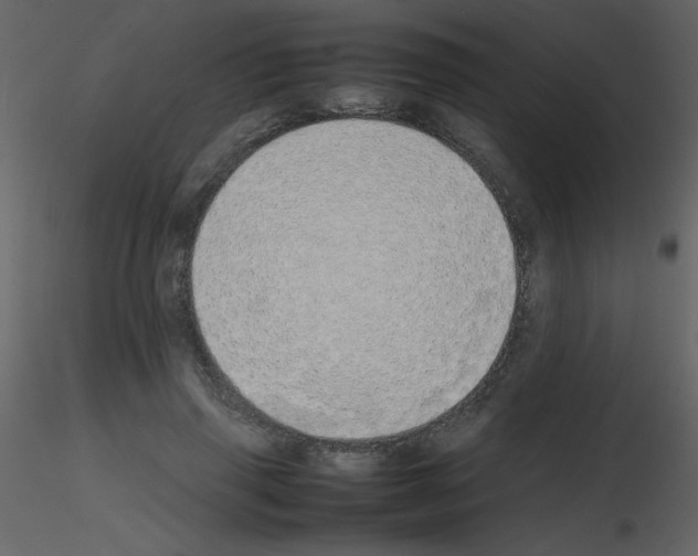 X0000115740645200912241648