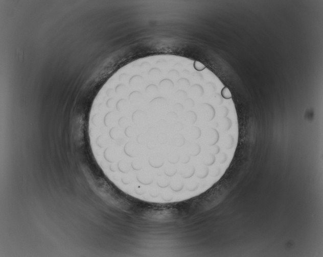 X0000115740646200912241648