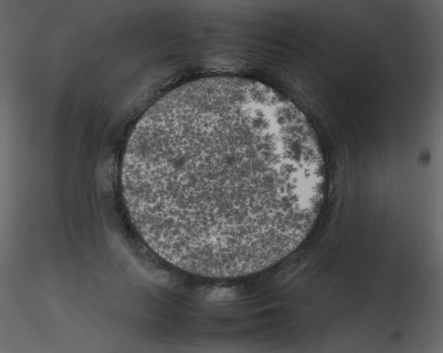 X0000115740647200912241648