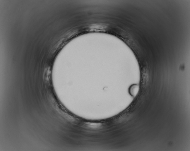 X0000115740649200912241648