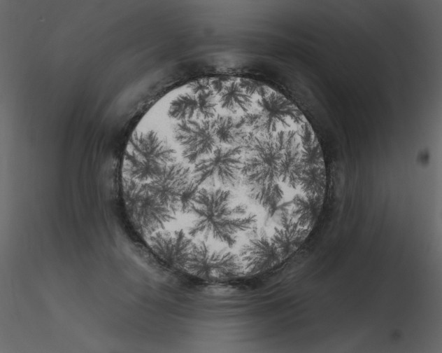 X0000115740650200912241648