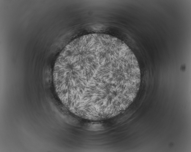 X0000115740651200912241648