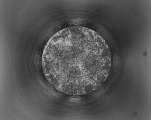 X0000115740653200912241648