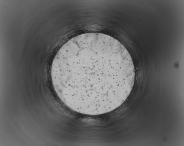 X0000115740655200912241648