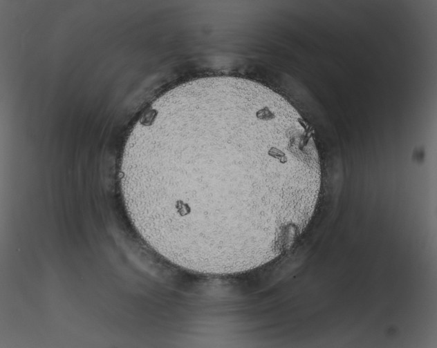 X0000115740656200912241648